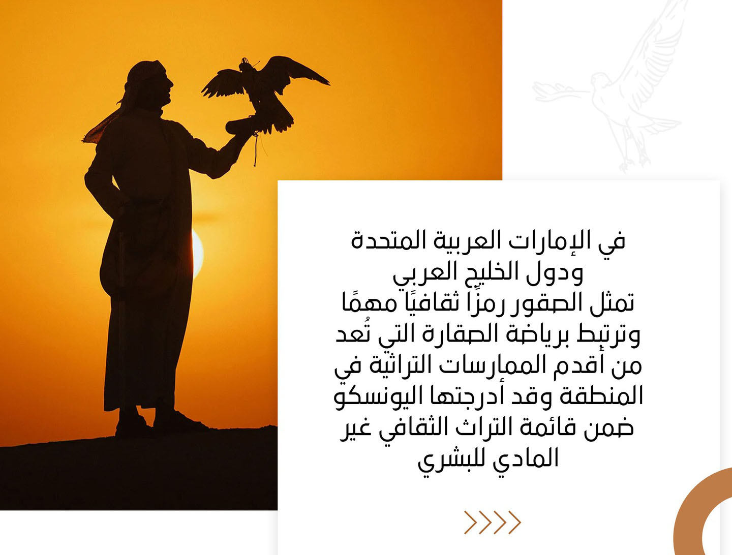 Falcons as a Cultural Symbol in the UAE and the Arabian Gulf